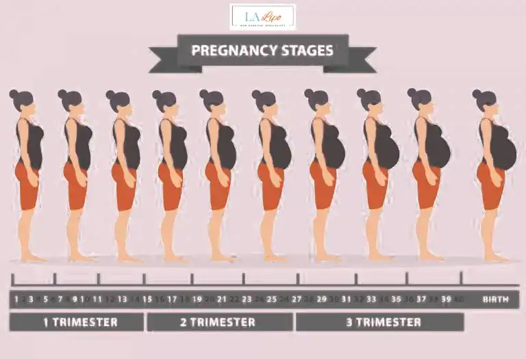 First Trimester (Weeks 1–12): Early Changes You Might Not Notice Rutland